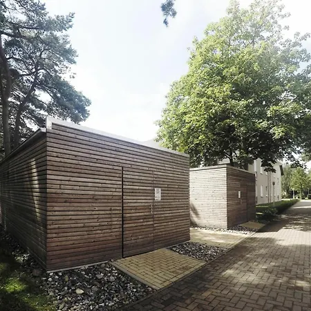 Pauline ديارهاجين